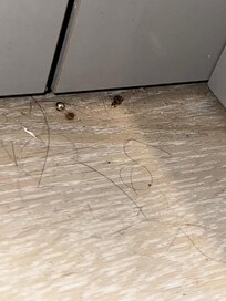 Corners of flooring