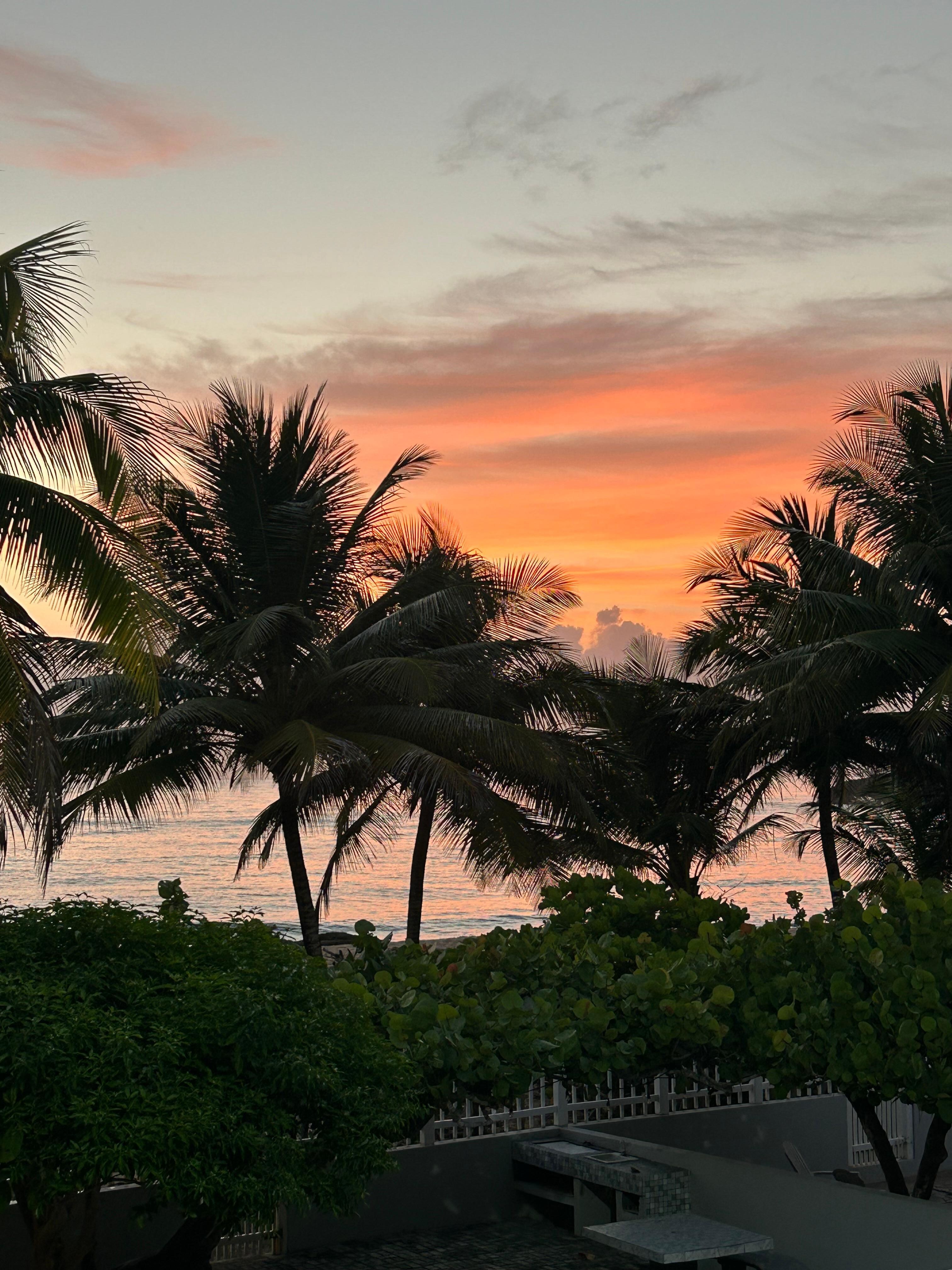 Early morning sunrise