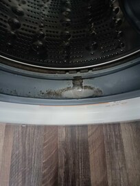 Mold in washer