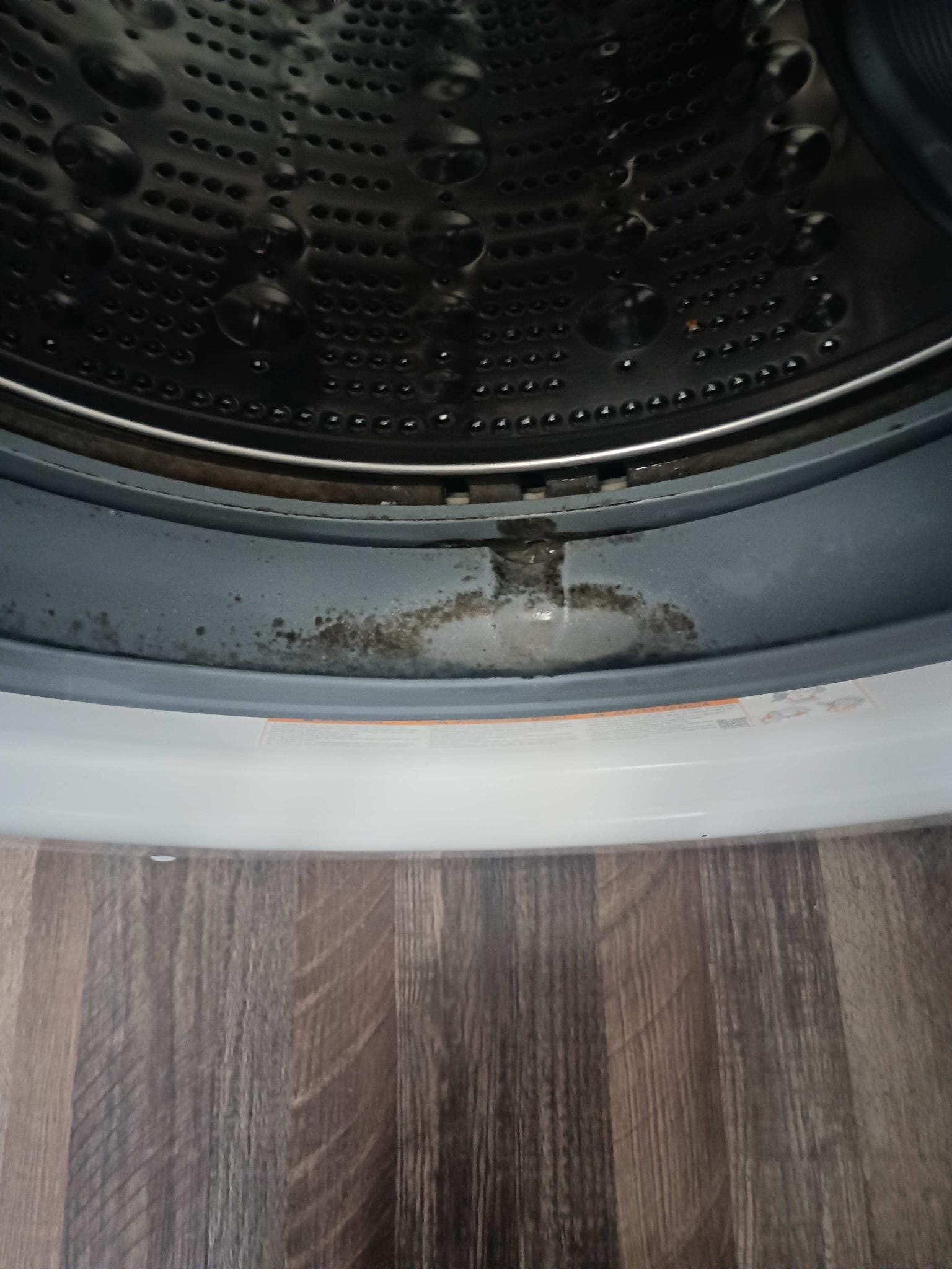 Mold in washer