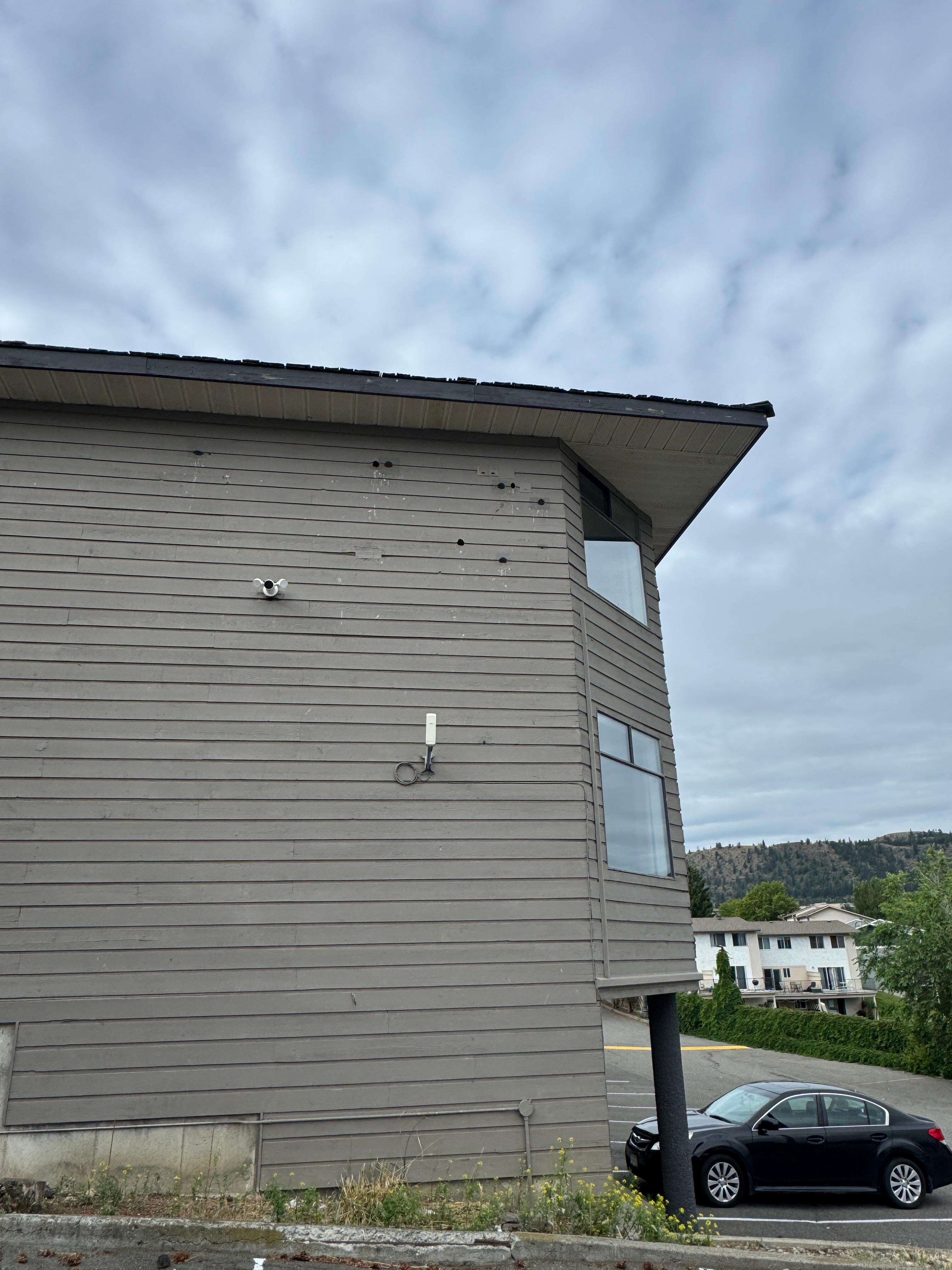 large holes from birds