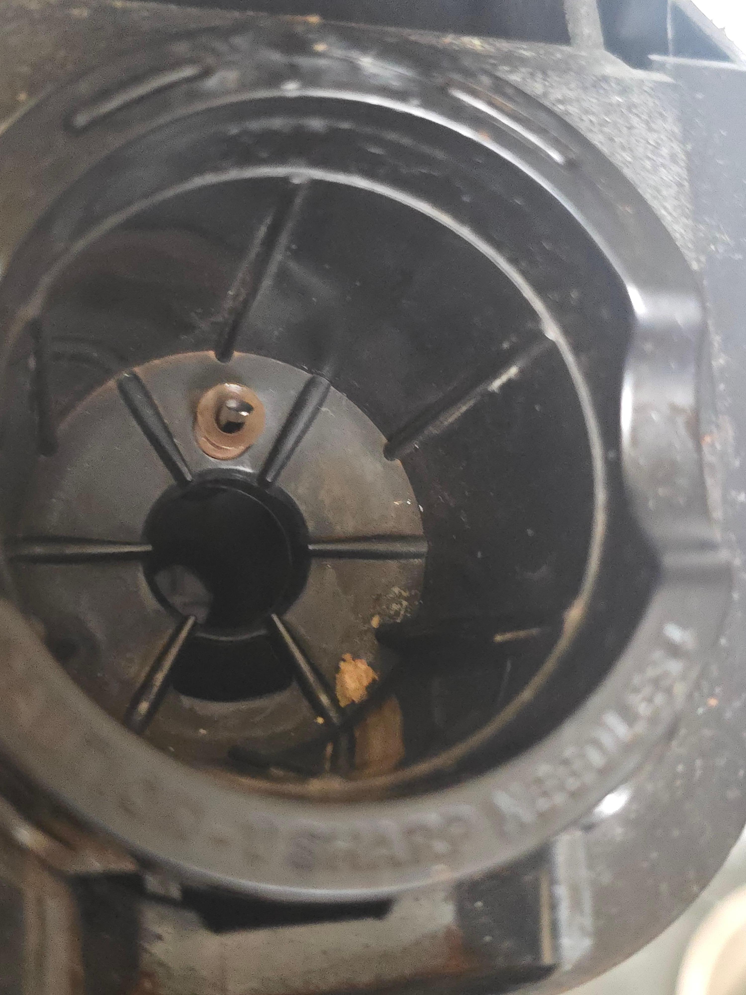 A chunk of crude inside