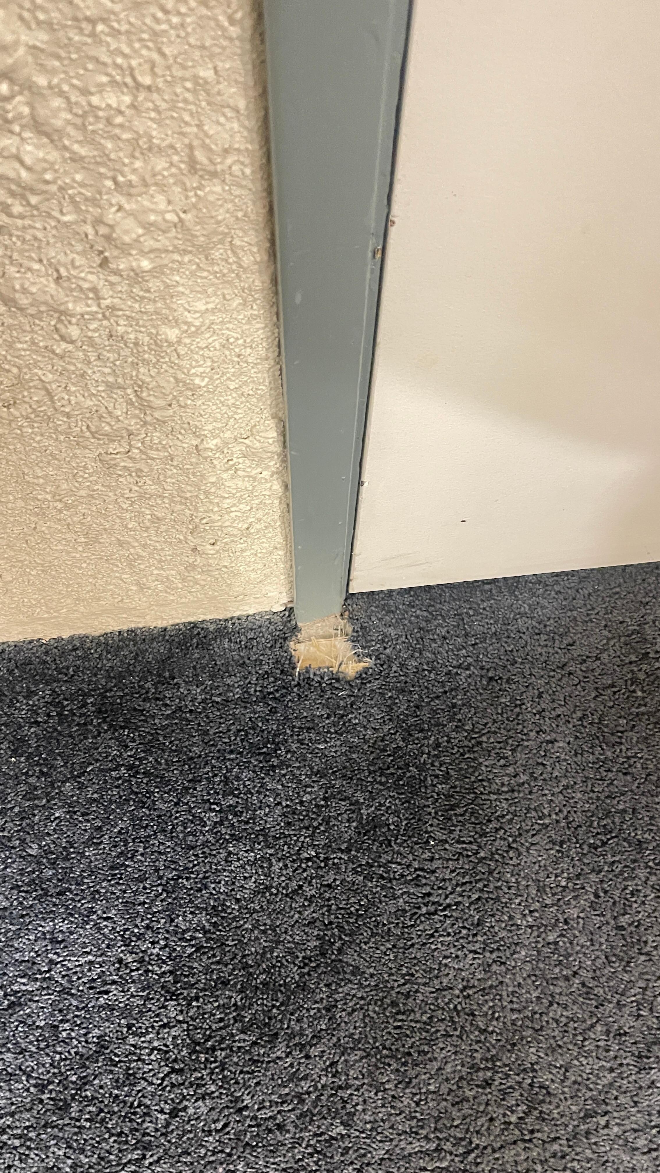 Tear in rug around door frame at the entrance of your suite