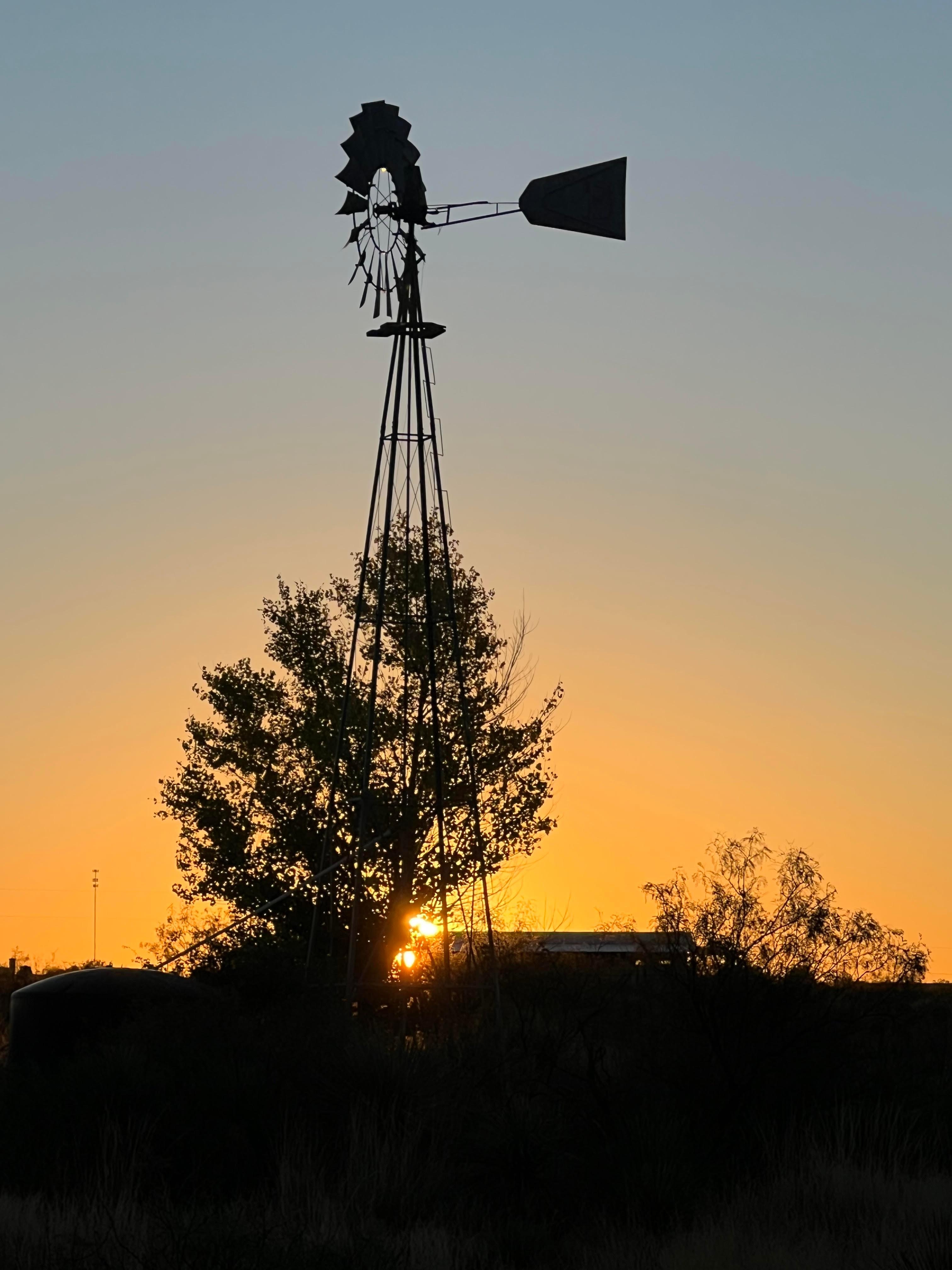 Windmill at sunset