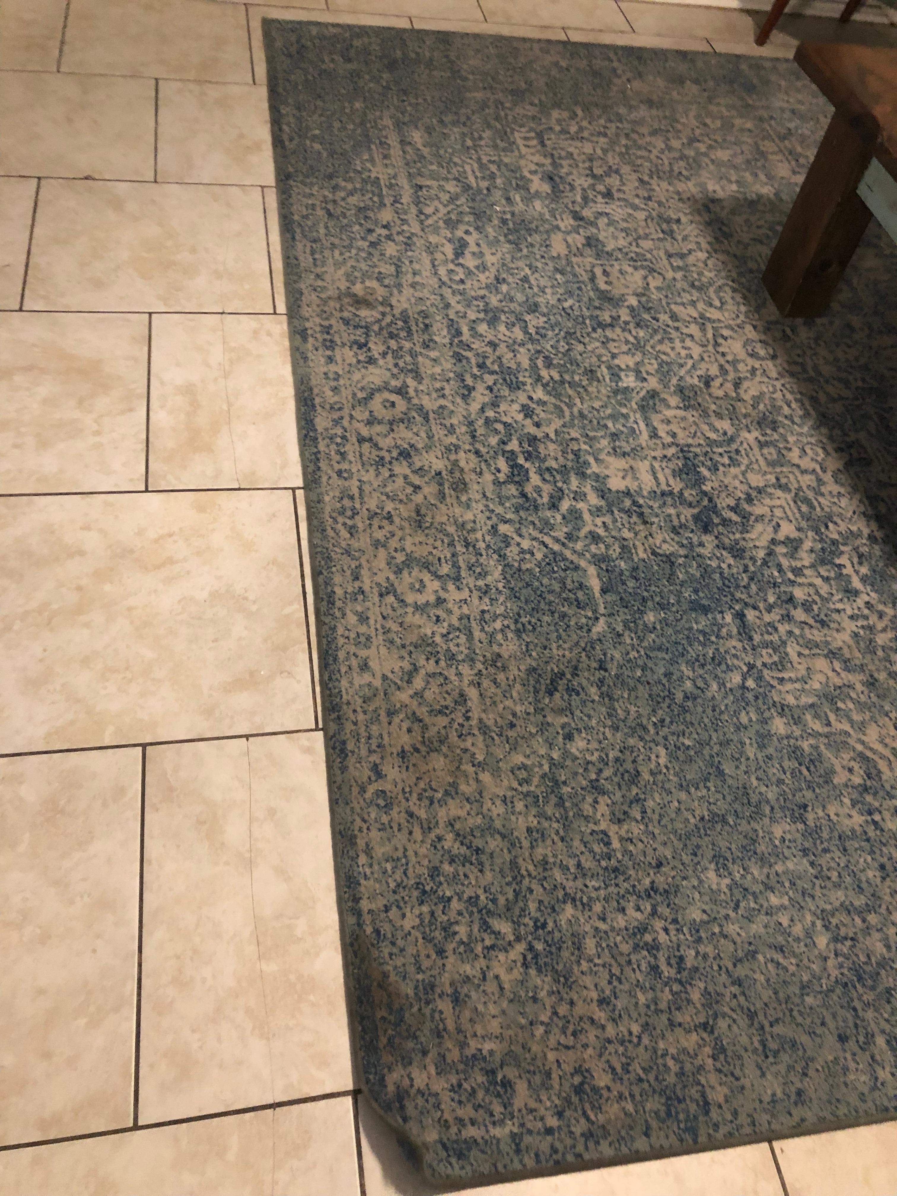 Carpet that needs cleaning