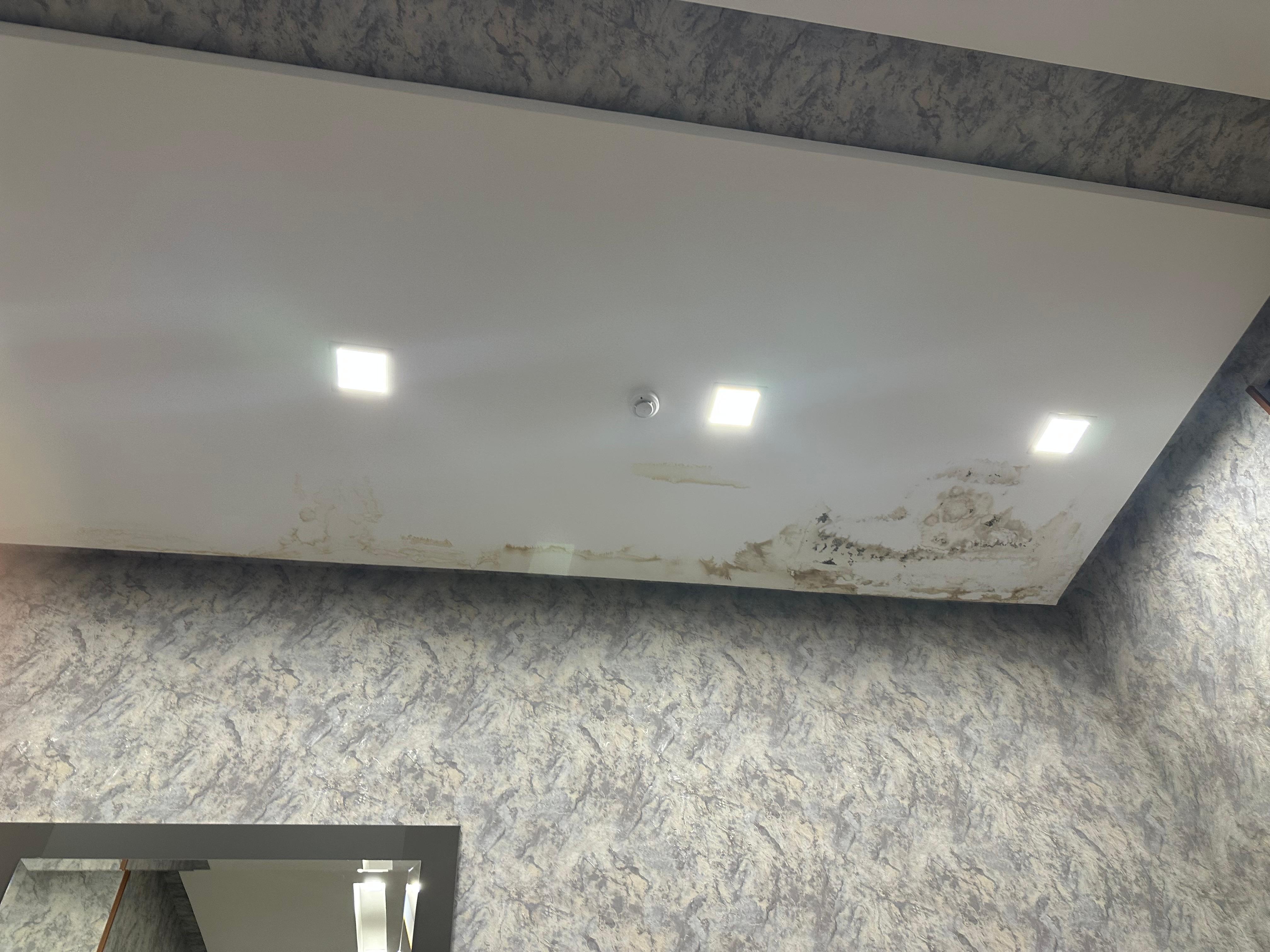 Mold in the main bedroom ceiling. 