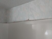 Peeling wallpaper