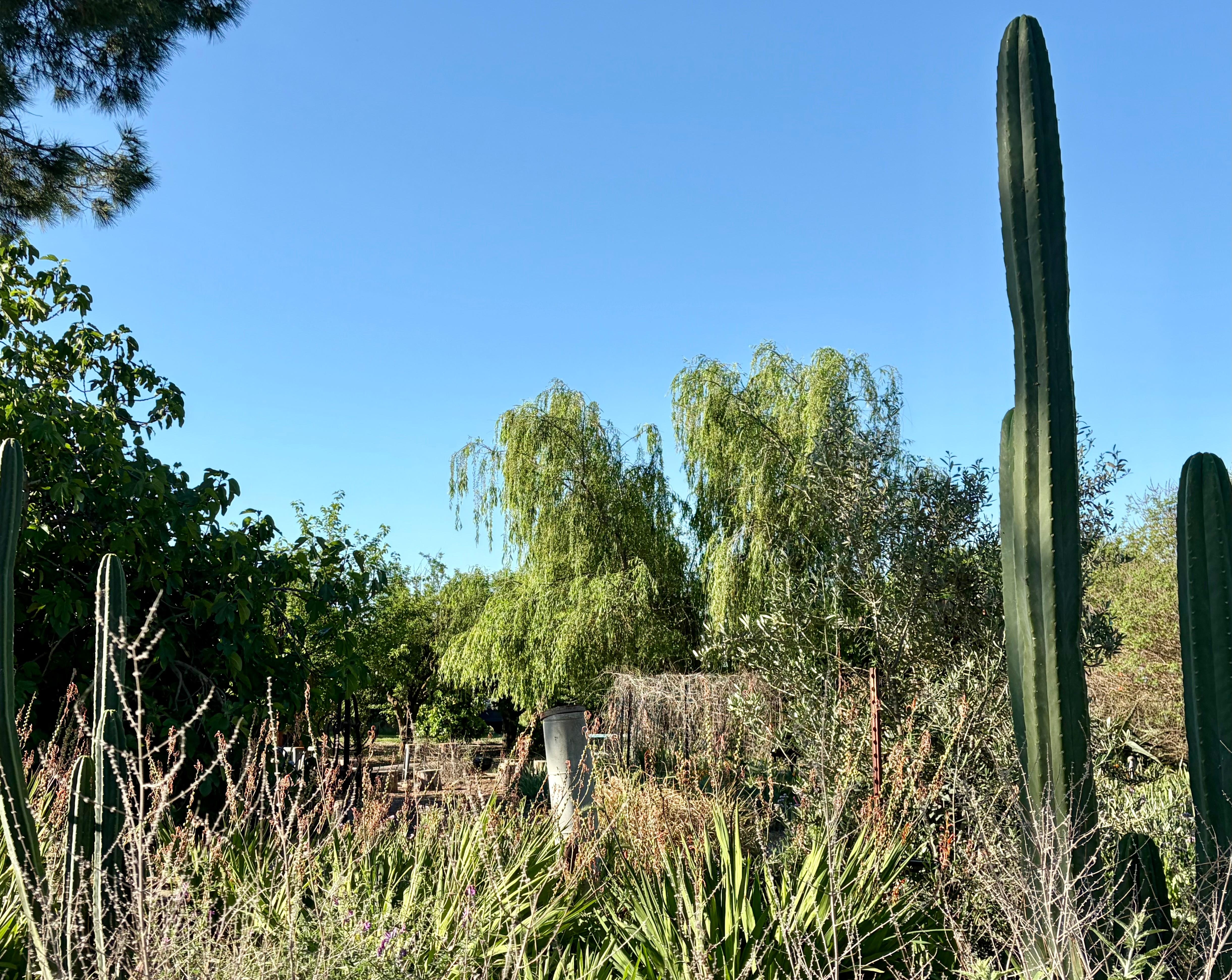 View from deck - you might think you are in Tucson!