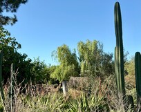 View from deck - you might think you are in Tucson!