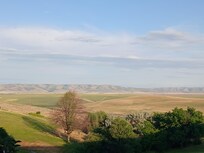 View from the lobby, pool area & premium king rooms. Beautiful.