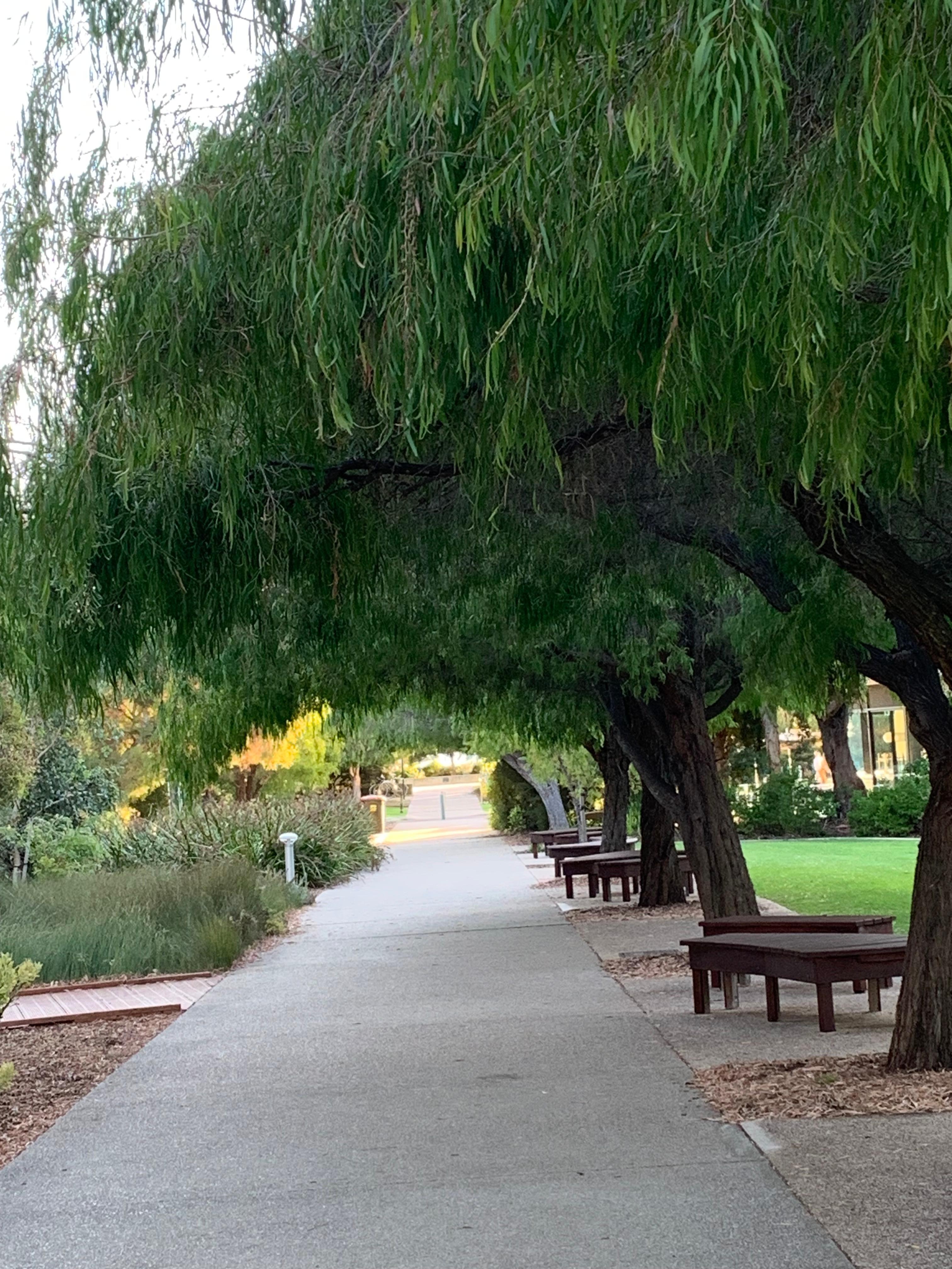 On the walk from the house to the beach