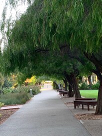 On the walk from the house to the beach