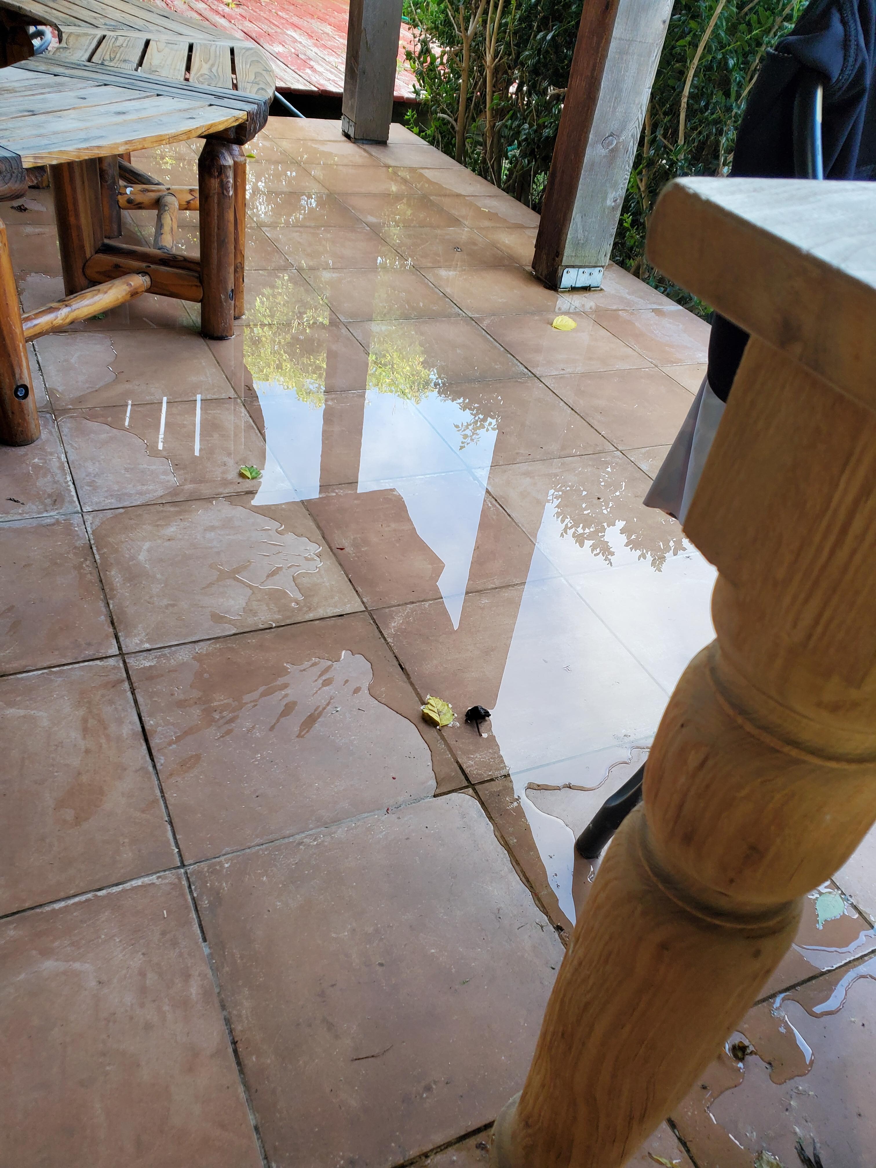 Water on patio due to leaking hose - this is the only way to the pool without walking around and through the grass. 