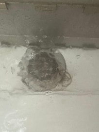 Hair clogging drain
