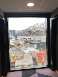 View from upper floor hall way window