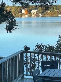 view from the dining room