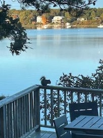 view from the dining room