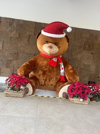 Xmas bear