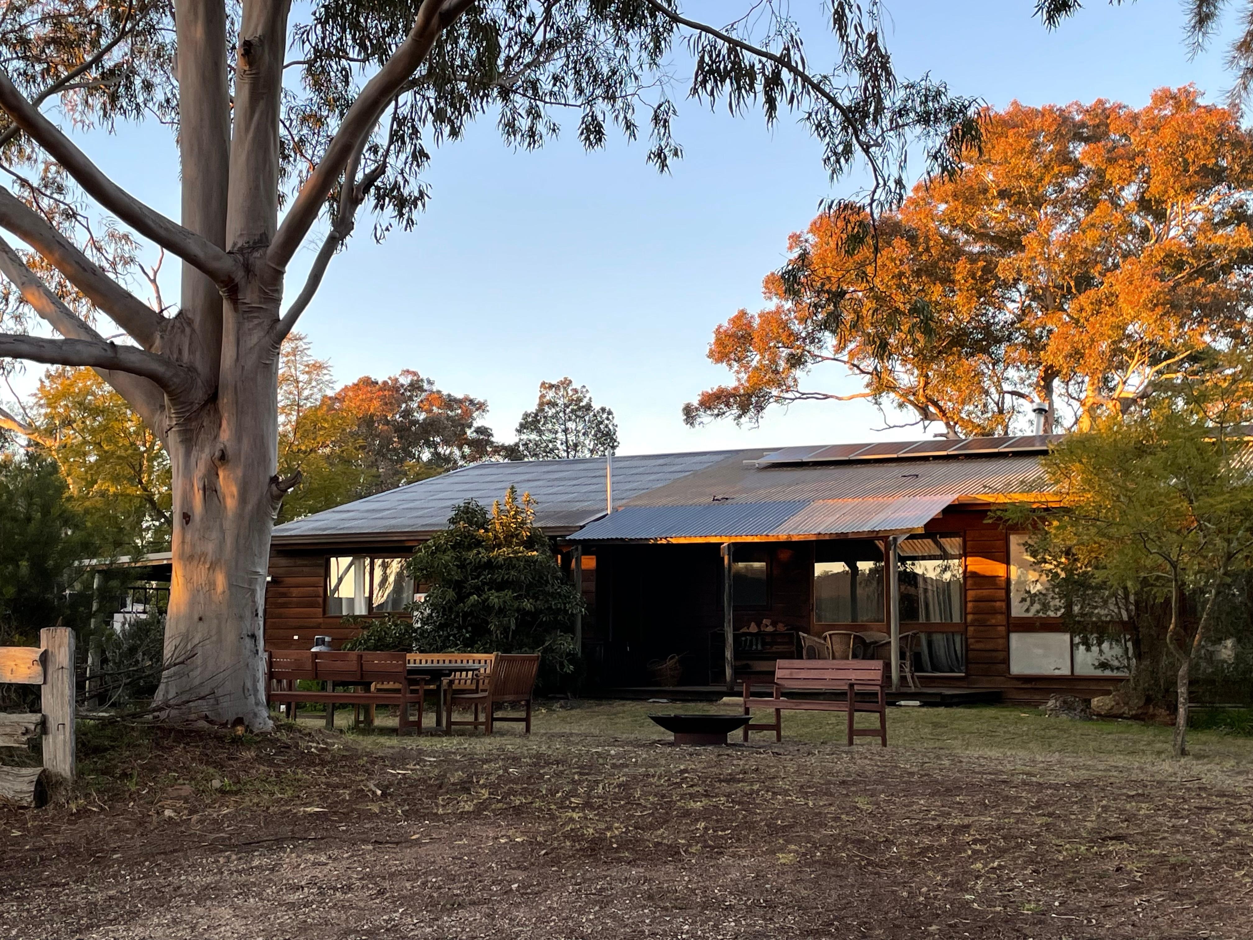 Early morning looking back to the house 