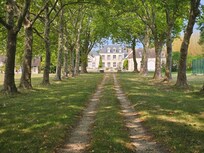 Approaching the chateau along the tree-lined avenue