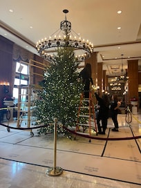 Putting up the main tree in the lobby.