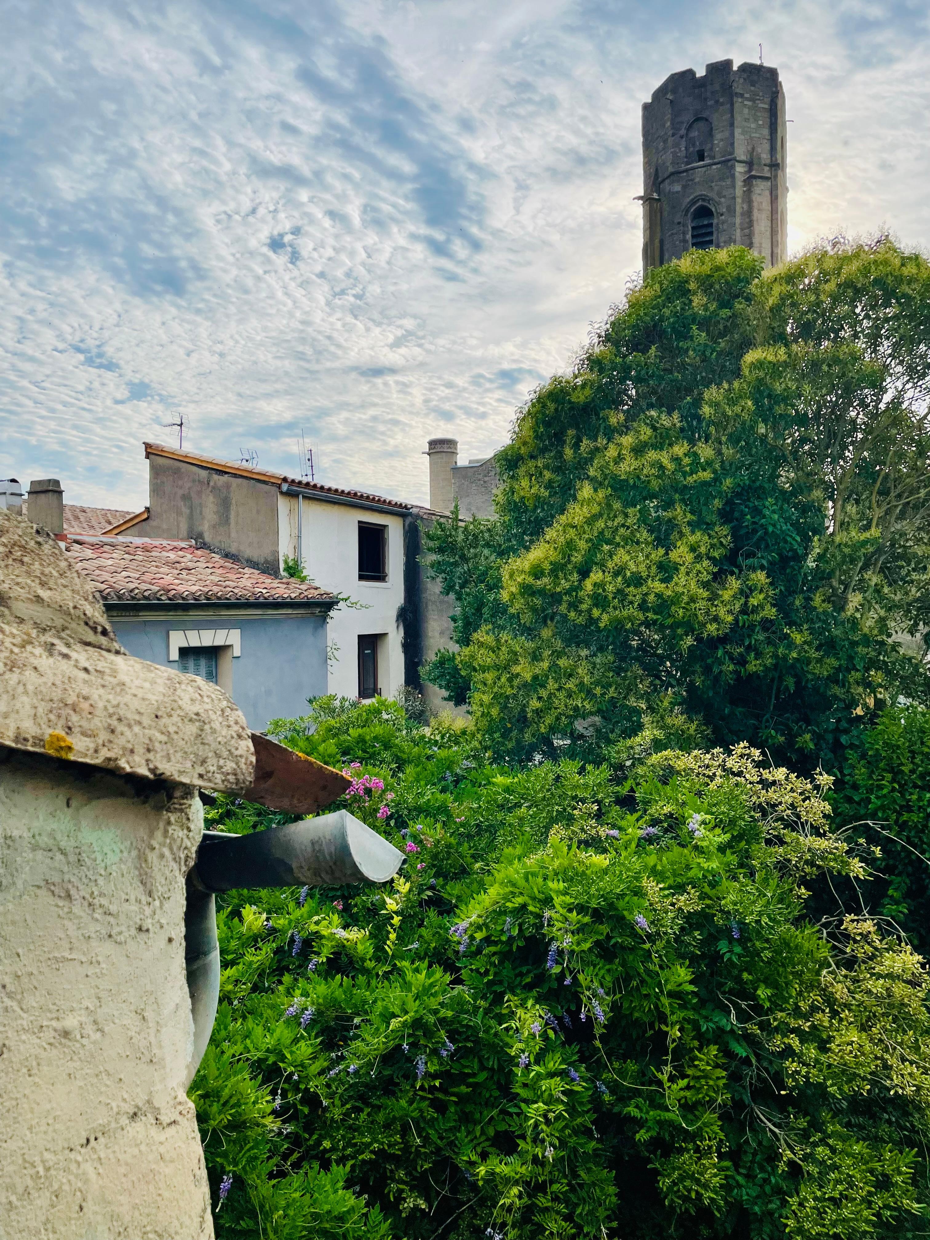 Morning view from terrace