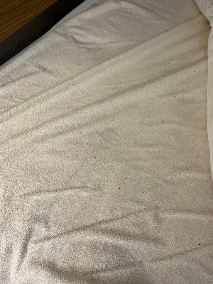 Bedbugs poop? or something similar on mattress