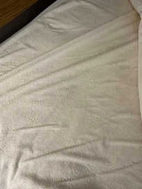 Bedbugs poop? or something similar on mattress