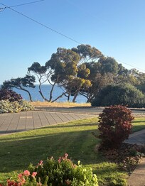 View from driveway