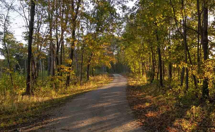 Hiking trail on Yellow River.