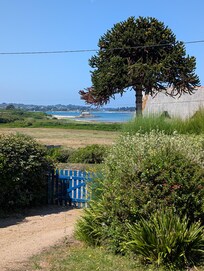 Blick vom Garten aufs Meer