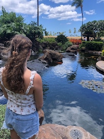 Koi Pools