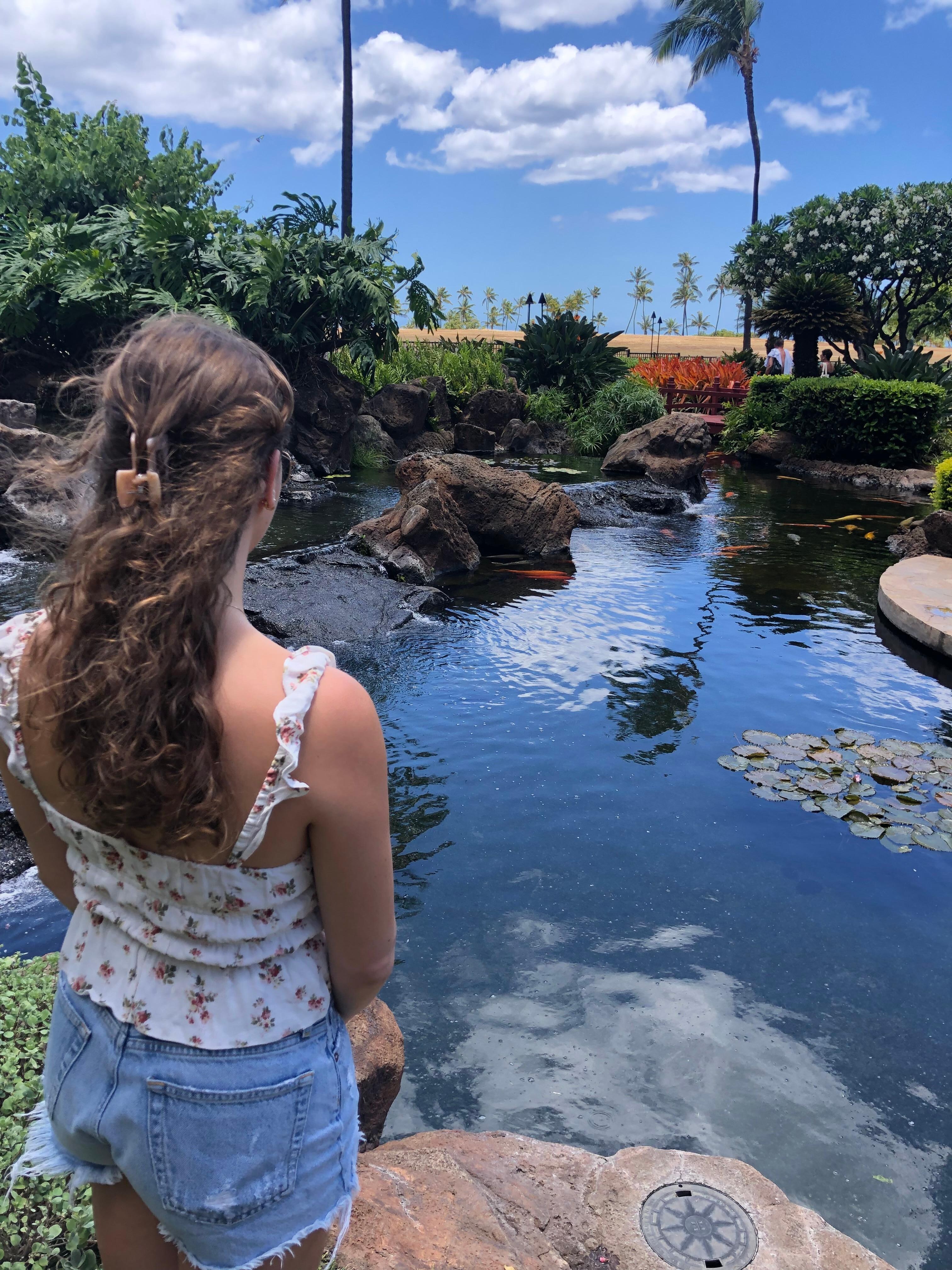 Koi Pools