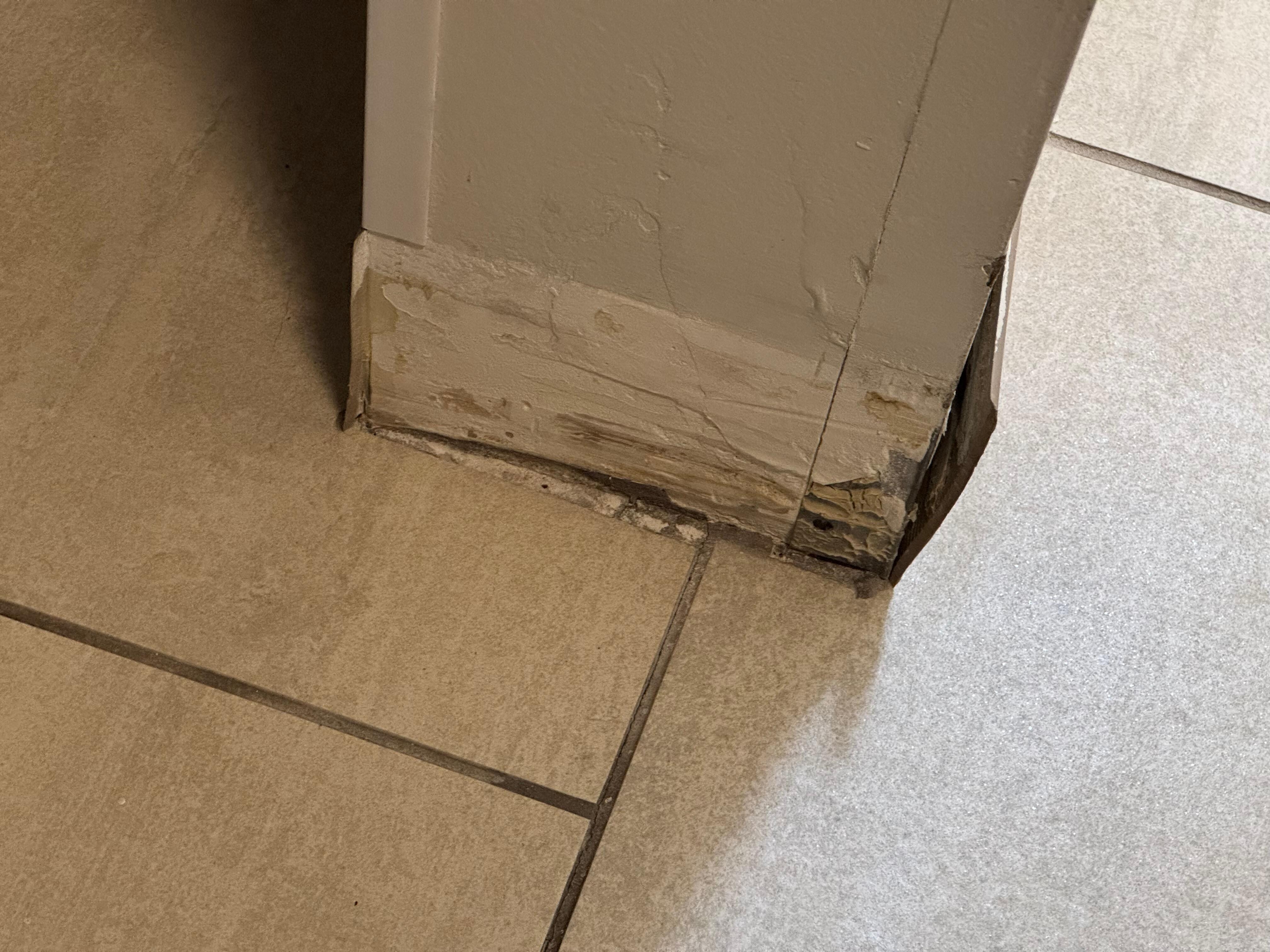 Molding missing