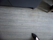 Stained carpet