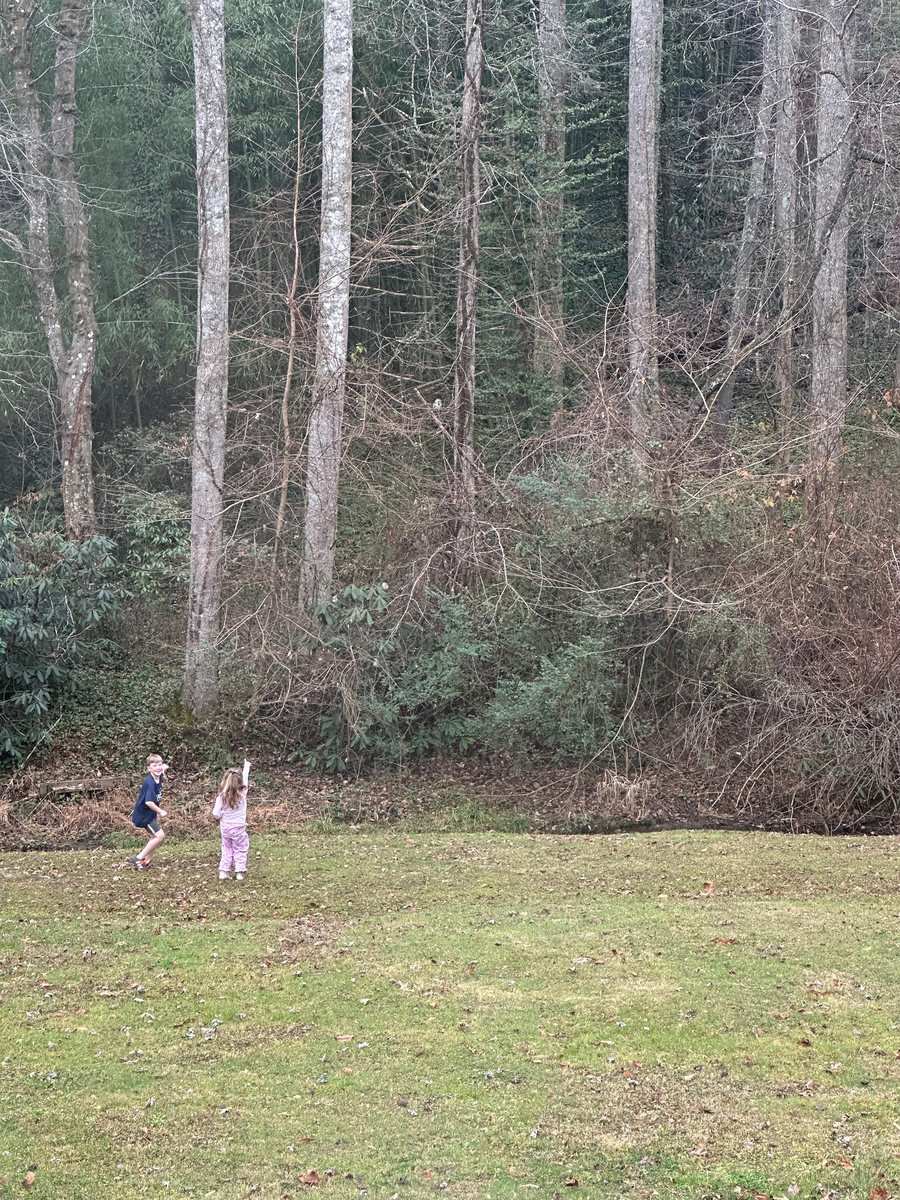 The kids running around with the squirrels! They were so excited they even built them a “bridge” of sticks for them to get across the stream!