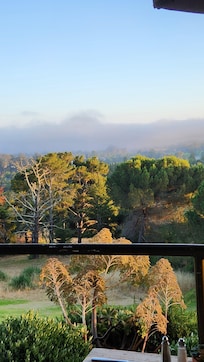 View from The View restaurant.