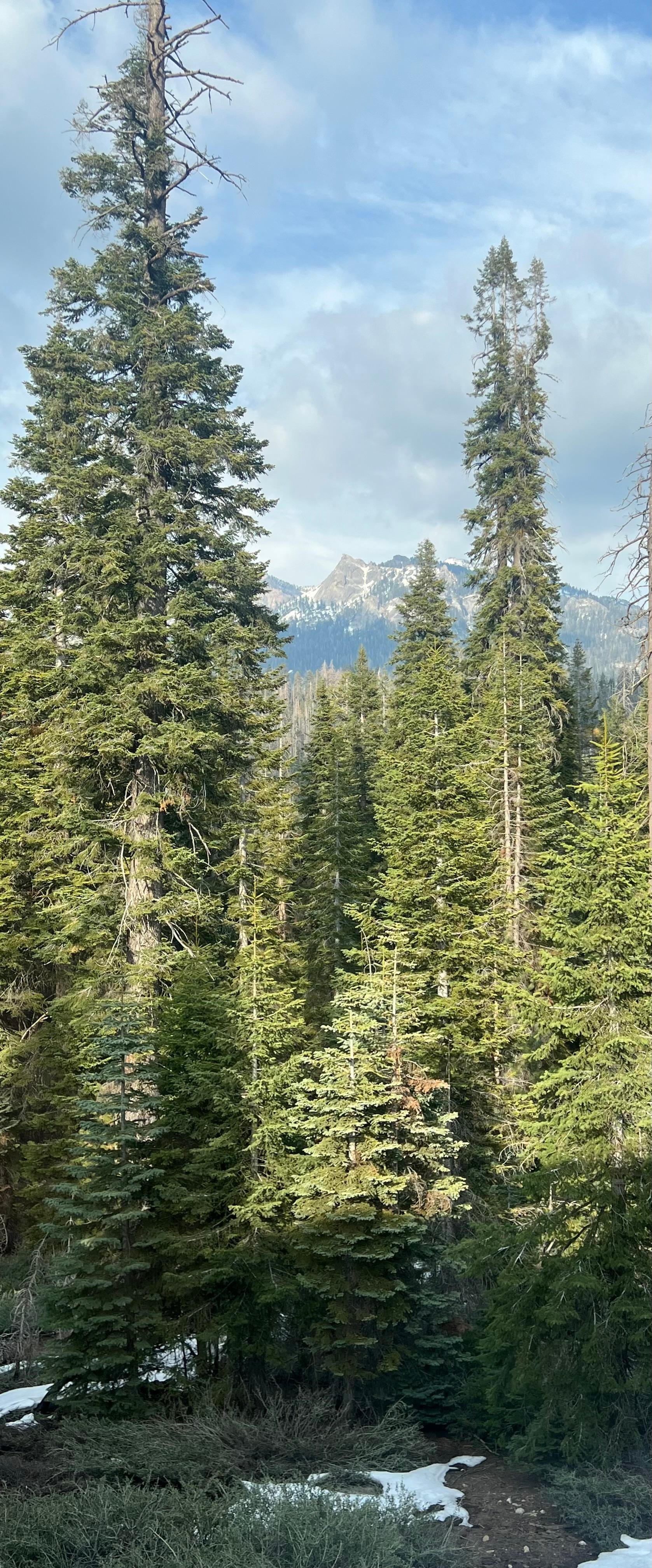 View from the dining room