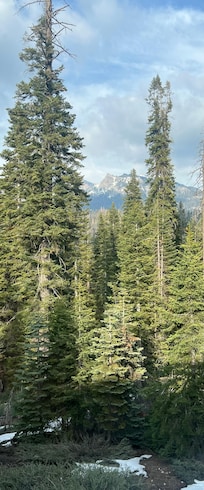 View from the dining room