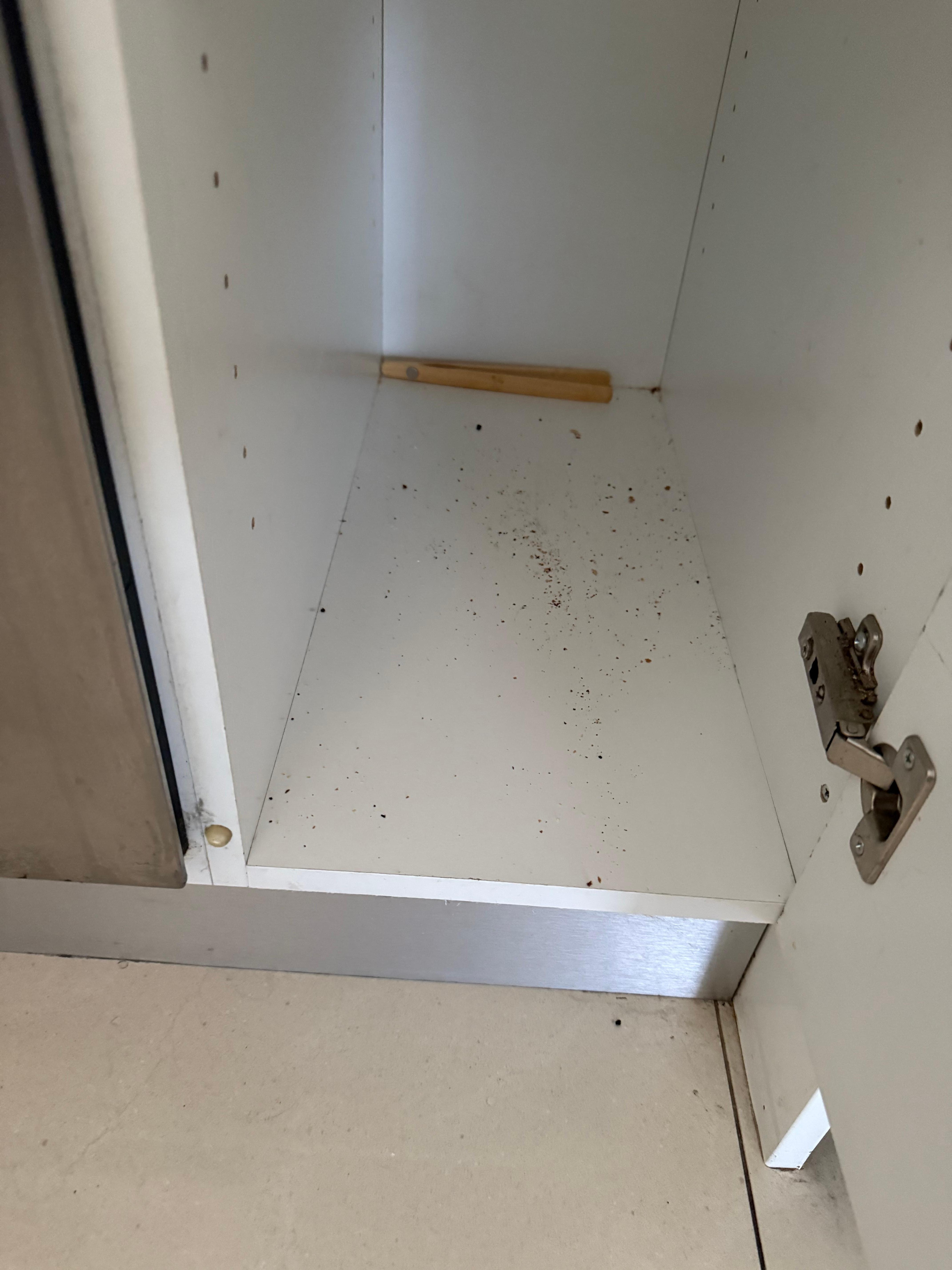 Inside kitchen cabinet 