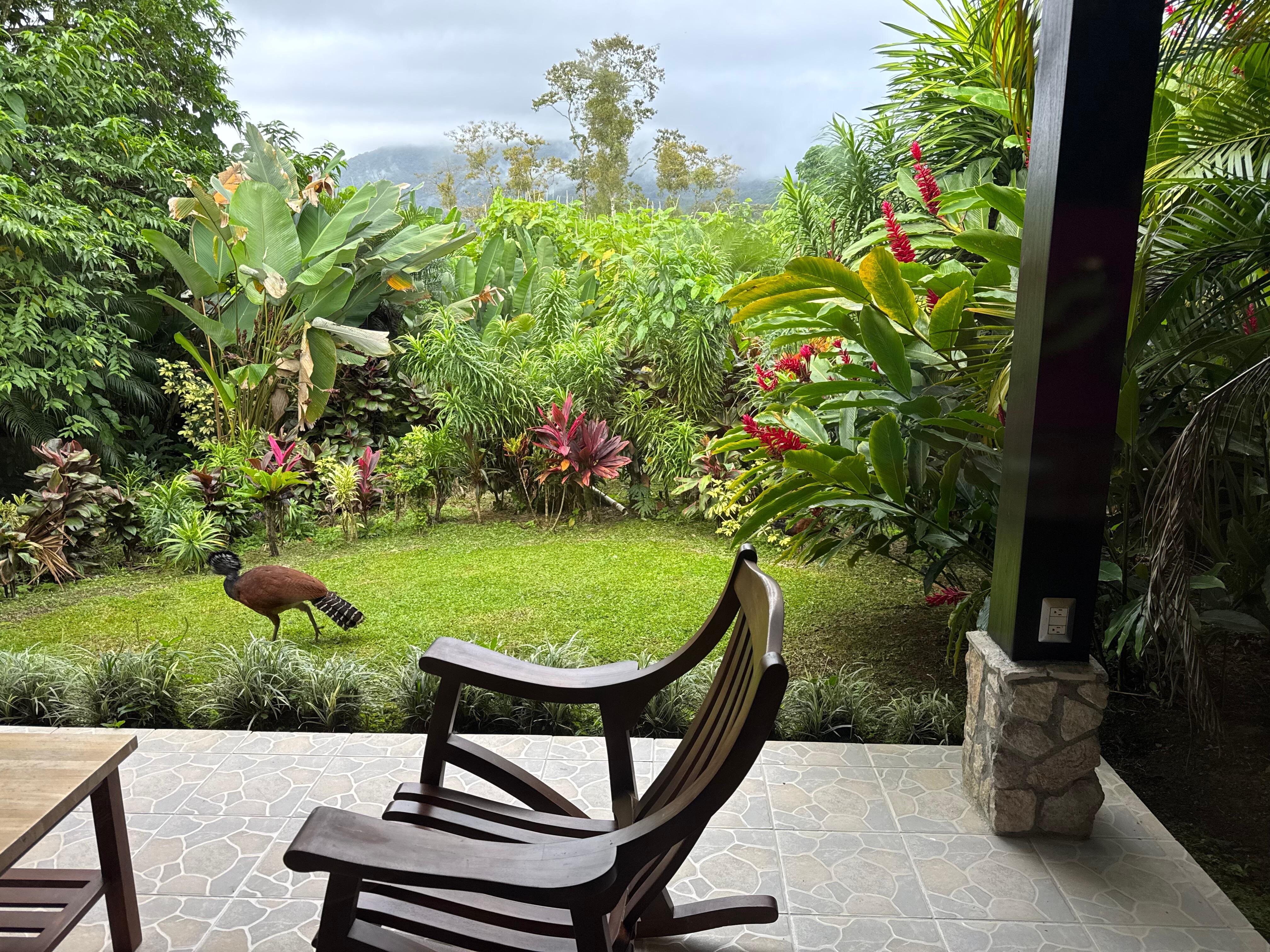 View from our room (234). 
