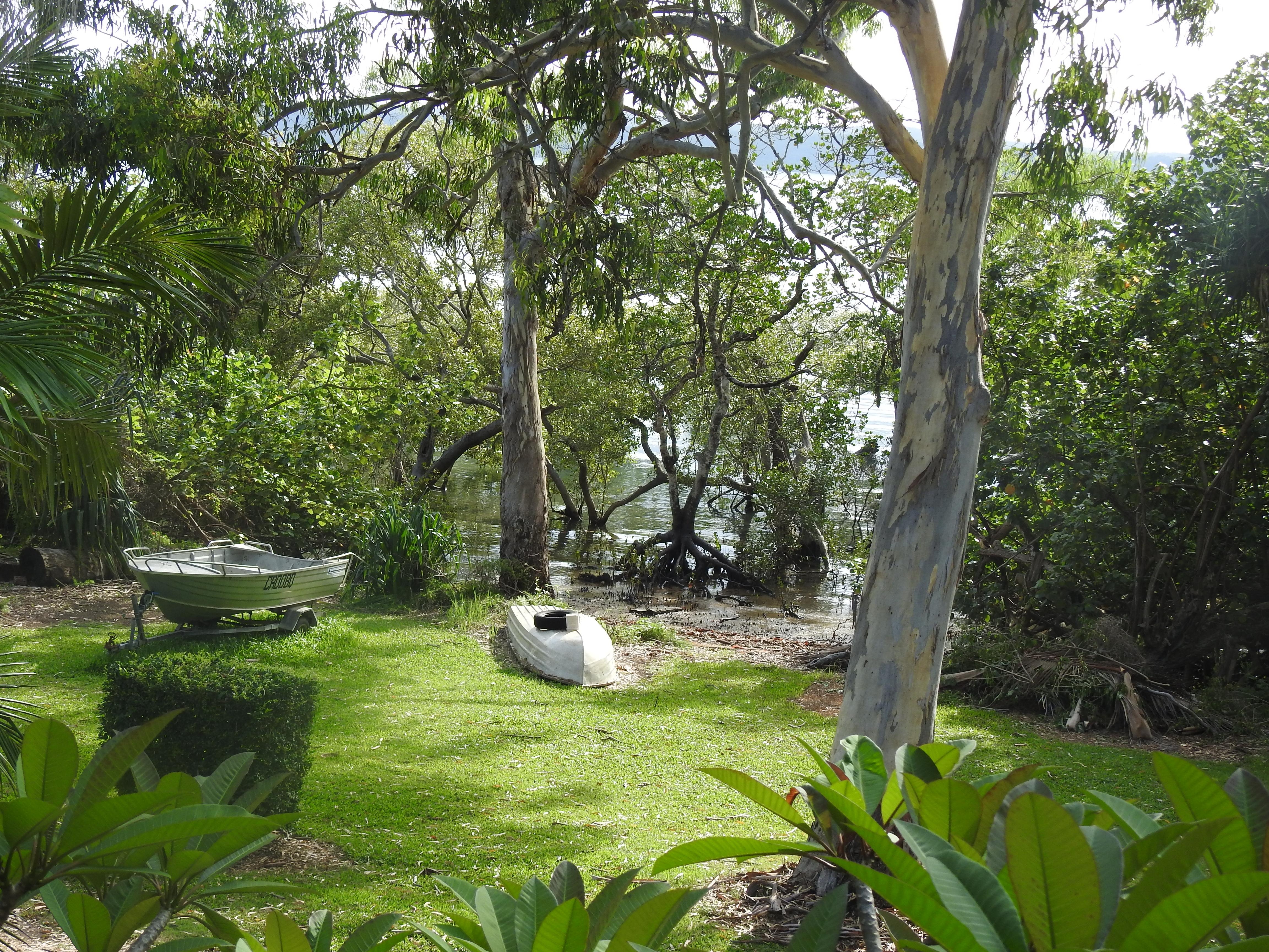 View from the verandah.