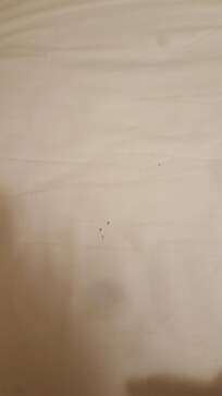 Small blood stains , not from us and the day they changed the sheets
