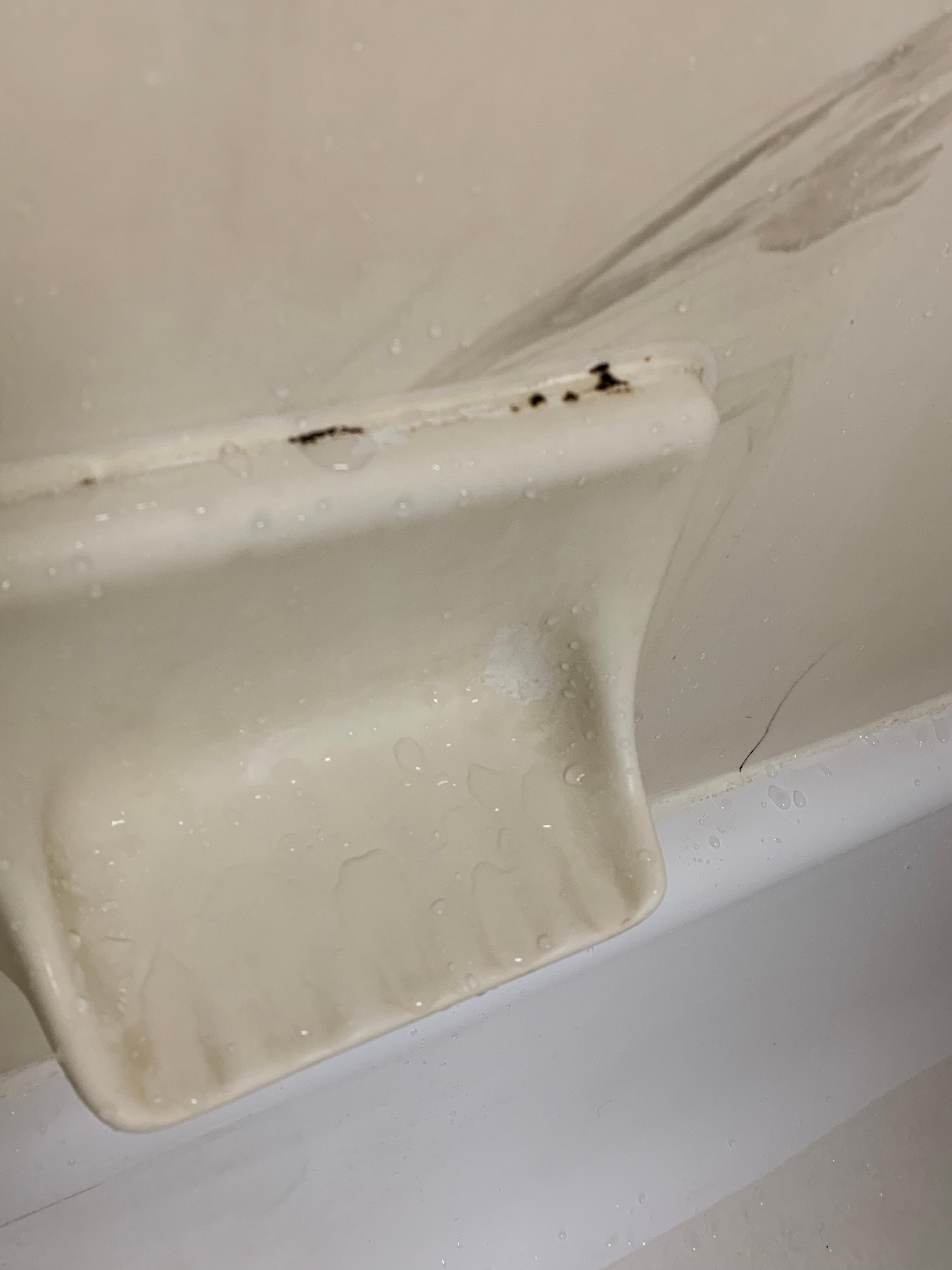 Mold and soap scum