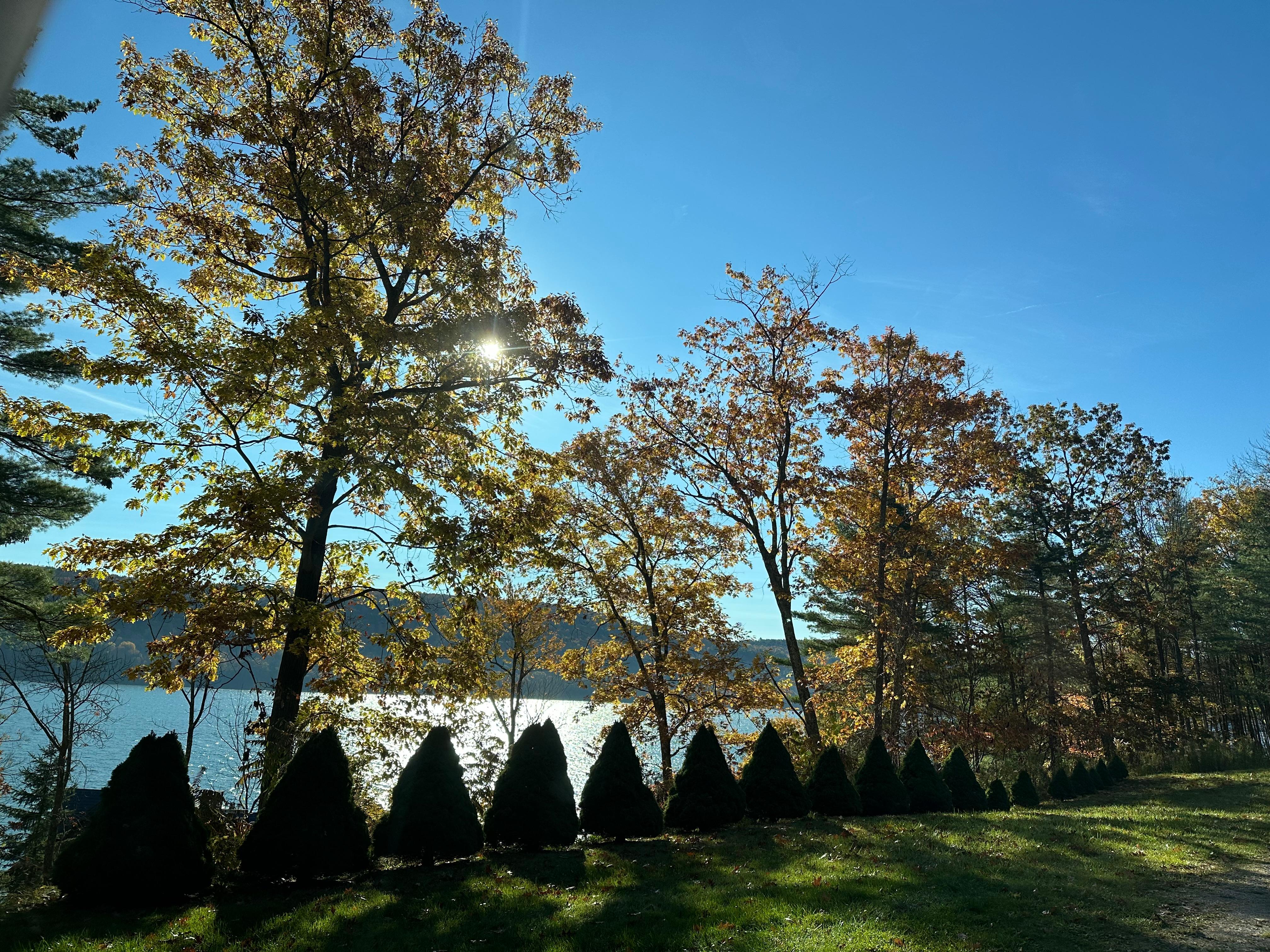 View from the lodge of the lake