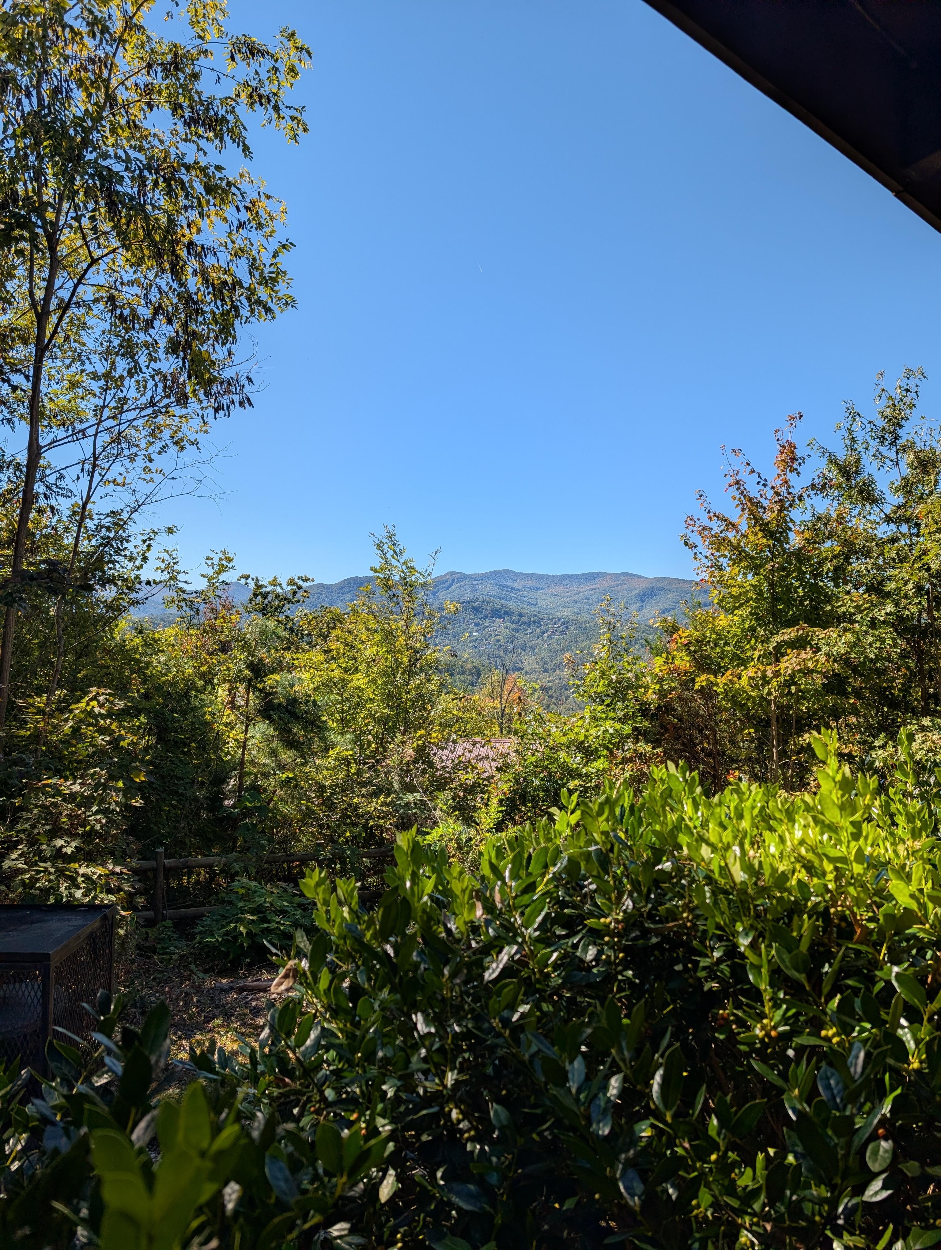 View from front porch/driveway