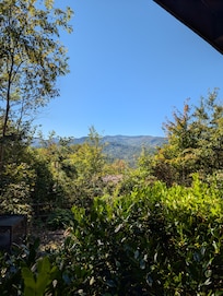 View from front porch/driveway