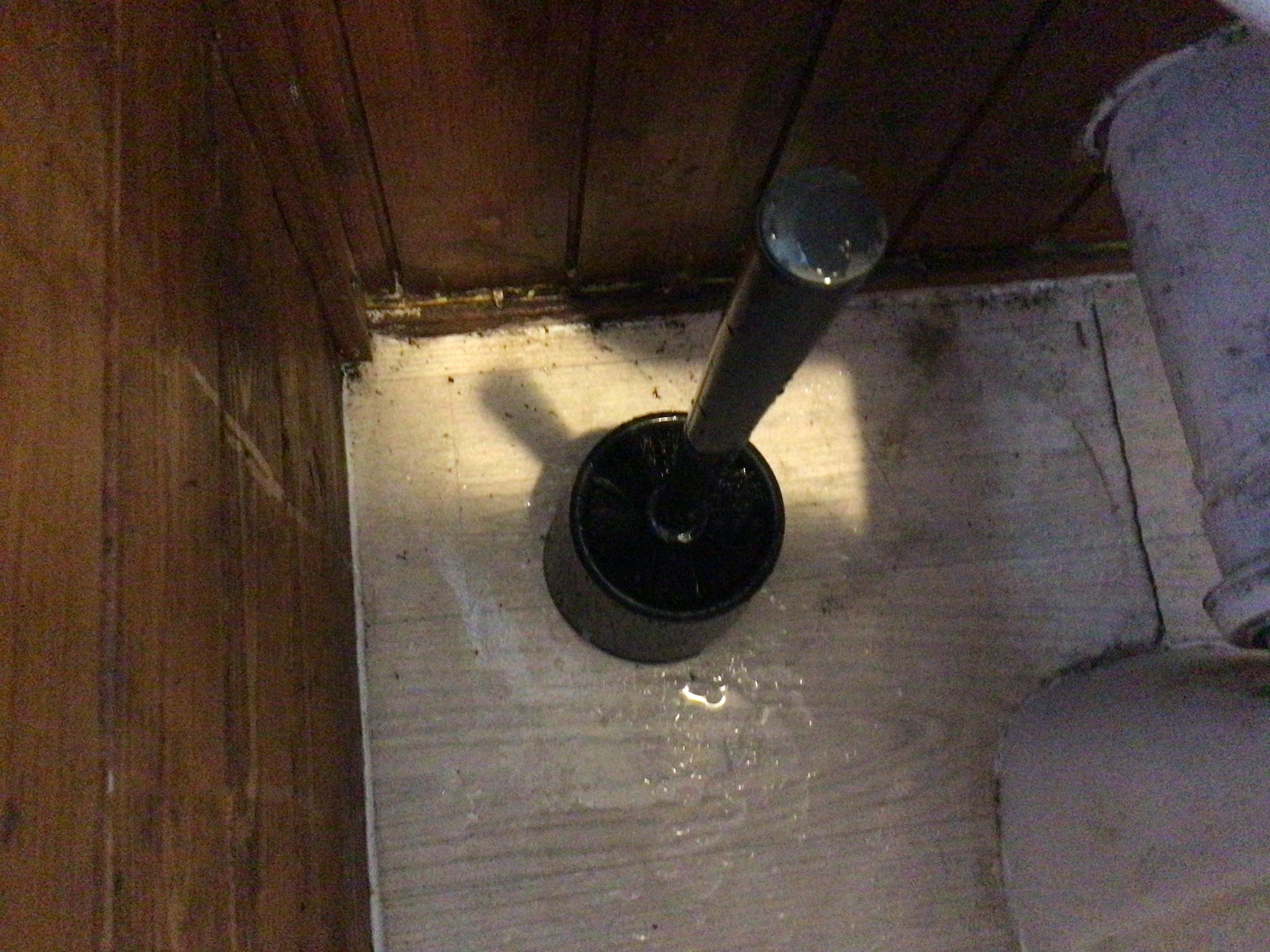 Filthy behind toilet