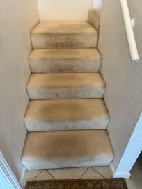 Dirty stained carpet