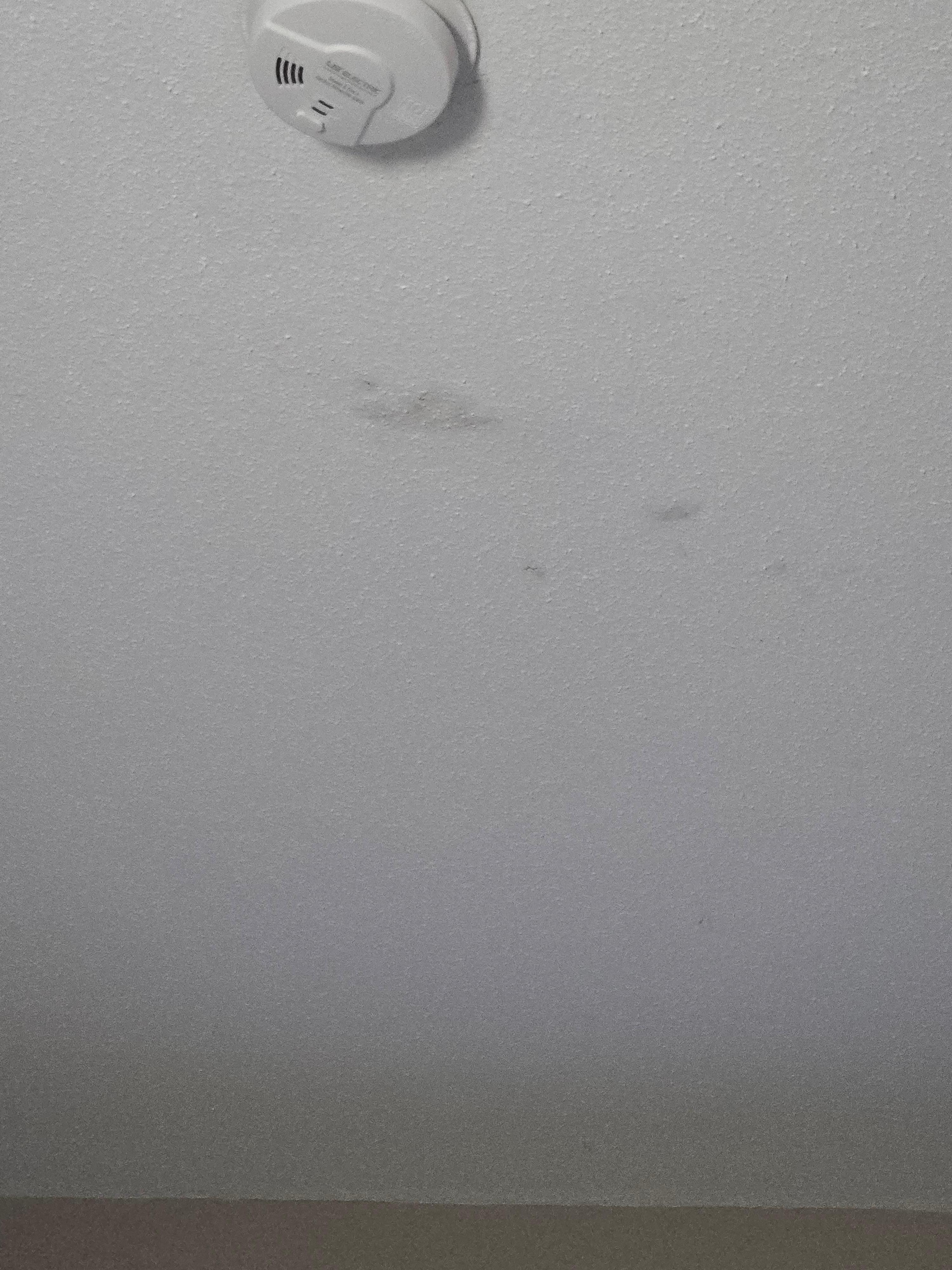Dirt spot on ceiling 